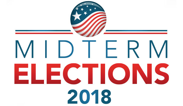 electronic voting would increase election participation and security while lowering costs